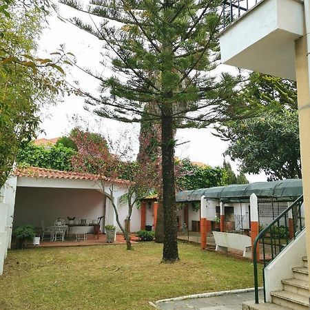 Botanique Guesthouse Кашкайш Экстерьер фото
