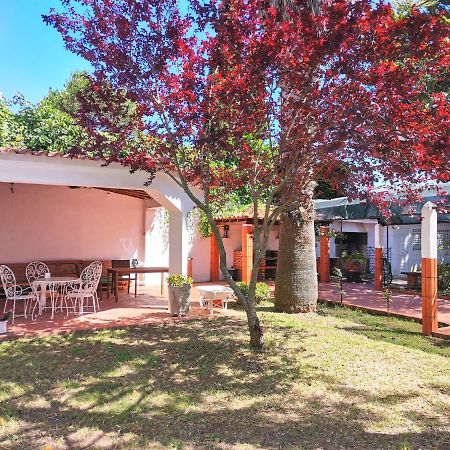 Botanique Guesthouse Кашкайш Экстерьер фото